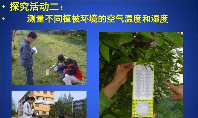 植物保湿培养的关键步骤有哪些？如何保持适宜的湿度？