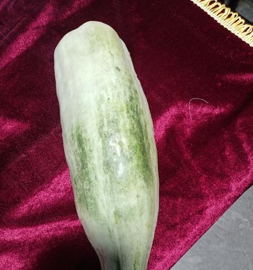 大粪花是什么花卉类型的？大粪花的学名和特性是什么？