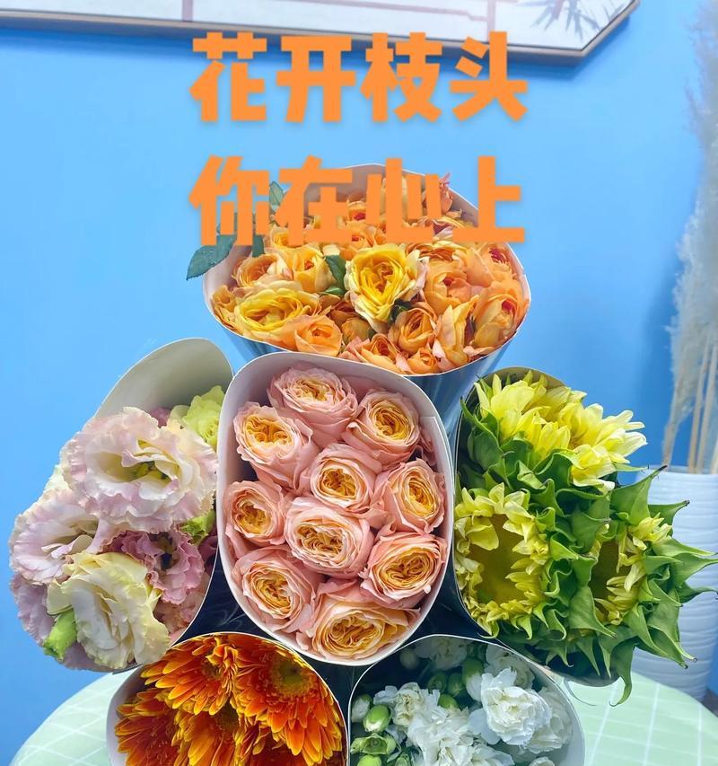 四组花卉套餐包含哪些品种？它们各自有什么特点？