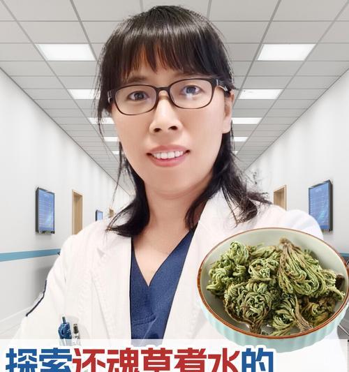 黑芸豆属于什么植物？它的特性与用途有哪些？