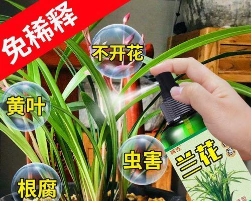 植物腐烂的原因有哪些？如何预防？