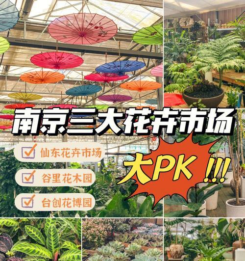 内江花卉市场在哪里？有哪些特色花卉？