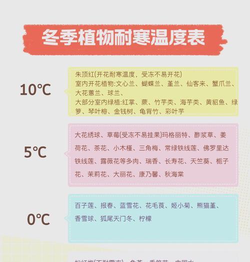 热带花卉如何做好防寒？