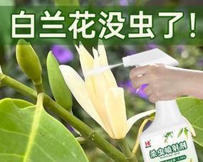 植物驱虫药的挥发时间是多久？如何判断驱虫药是否正常挥发？