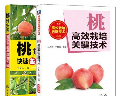 桃树幼苗回来后怎么管理？桃树种植的初期养护要点是什么？