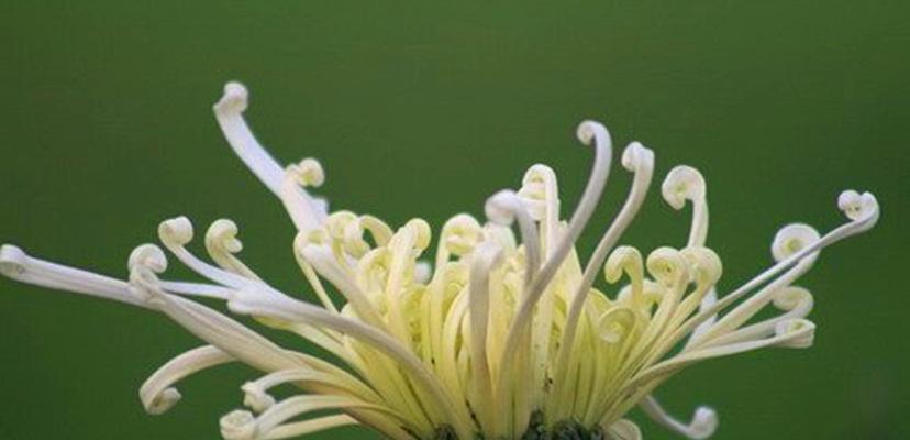 植物的生殖器官有哪些？植物生殖器官的功能是什么？
