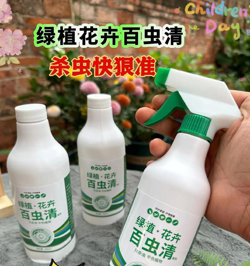 容易生虫的绿植花卉有哪些？如何预防和处理？