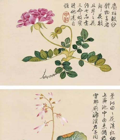 有哪些画过的花卉作品呢？历史上著名的花卉画作有哪些？