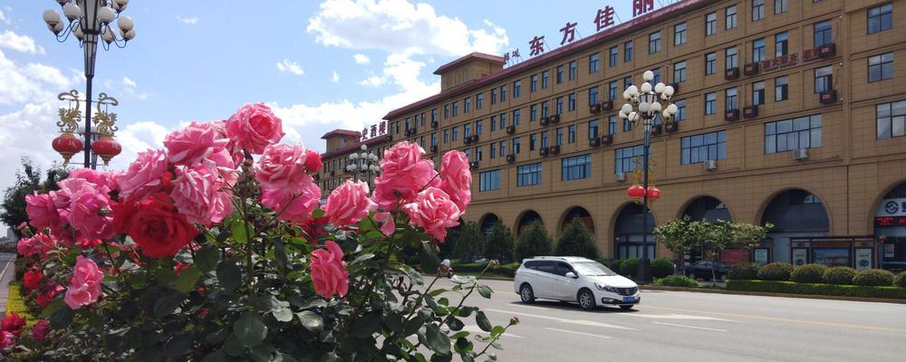 唐山韩城附近花卉市场有哪些？哪个市场的花卉种类最全？