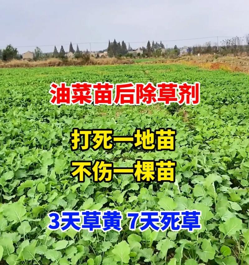 选择除草剂有哪些注意事项？哪种除草剂对花卉无害？