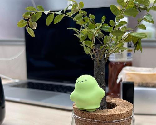 盆栽植物长大后有哪些会变得像精怪？