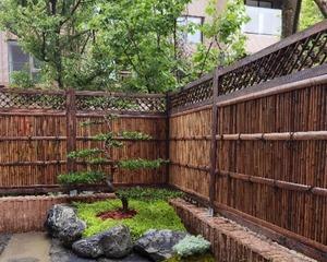 花园打围植物怎么打？选择哪些植物作为围栏？