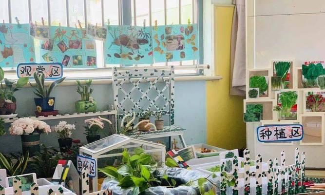 植物角怎么介绍更出彩？有哪些创意方法？