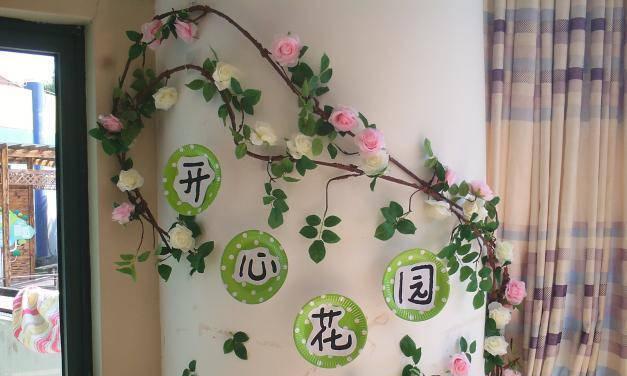 植物角怎么介绍更出彩？有哪些创意方法？