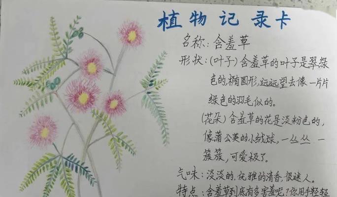 如何与植物互动玩耍？有哪些有趣的植物游戏？