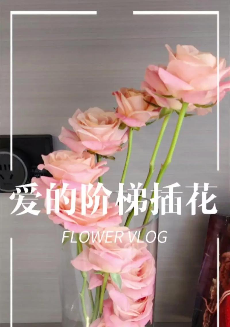 插玫瑰花的正确方法是什么？插花技巧有哪些？