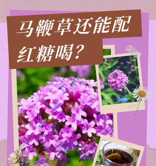 草本植物有哪些种类？它们各自的特点是什么？