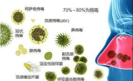 植物病毒在空气中的存活时间是多久？如何预防植物病毒？