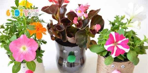 植物瓶子饰品有哪些？如何选择合适的植物瓶子饰品？