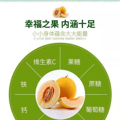 香妃甜瓜盆栽养护技巧有哪些？如何确保甜瓜健康成长？
