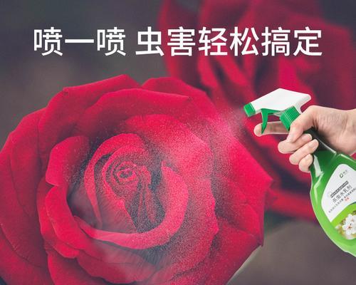 花卉常用的灭虫药有哪些？如何安全有效地使用这些灭虫药？