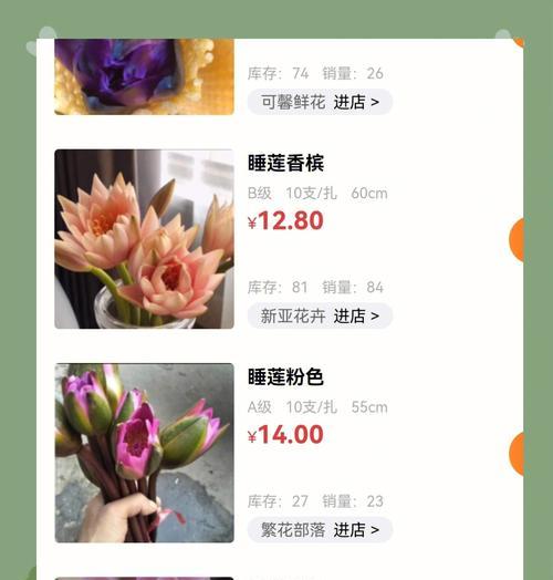 网购植物到货后应该如何处理和养护？