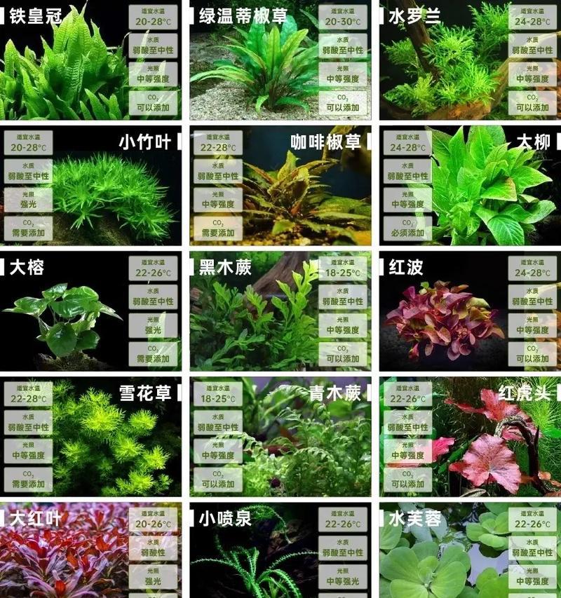 花语水岸存在哪些问题？
