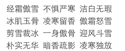 梅花的花语是什么？如何用花语形容梅花？