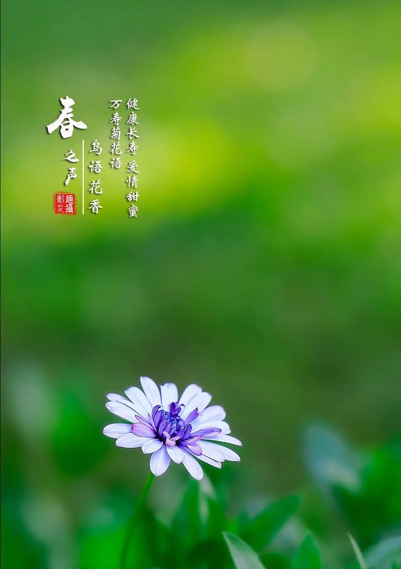 “我可以做你的花语吗”这句话的含义是什么？