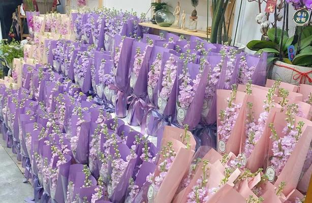 妇女节单支花束的花语是什么？单支花代表了什么？