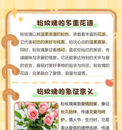 粉玫瑰花语送给母亲有何特别含义？