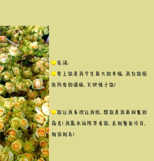 香槟玫瑰十三支代表什么意义？