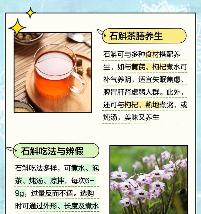 石斛的花语含义是什么？石斛花语有哪些特别之处？