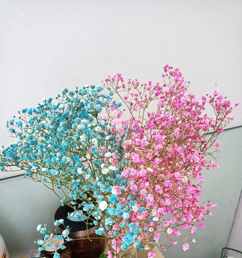 系鞋带送玫瑰花的含义是什么？
