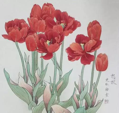 “荡”字在花语中有什么特别含义？