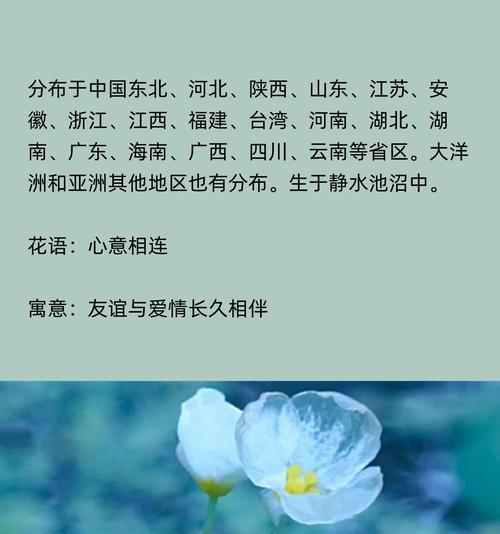 友谊离开时花语如何表达？