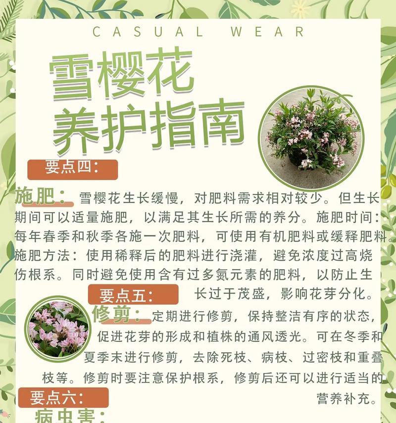 雪见花的寓意和花语是什么？