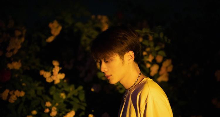 帅哥送玫瑰花代表什么？玫瑰花的花语有哪些？