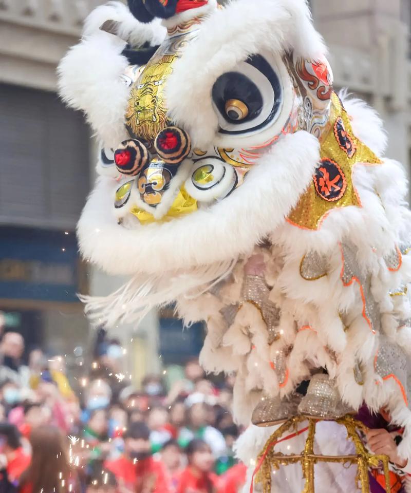 狮头玫瑰花的寓意是什么？有何特殊含义？