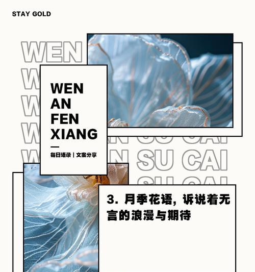 无言应对的花语有何深意？