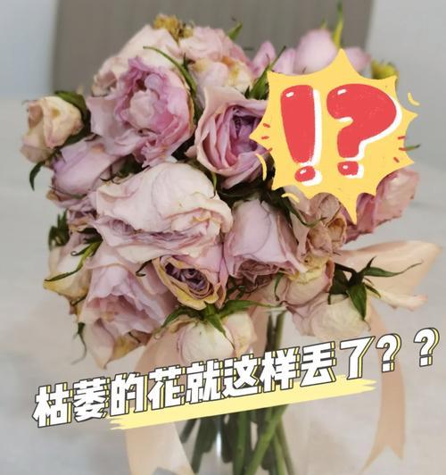 玫瑰花枯萎了通常象征着什么？