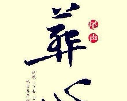 沉默无声的爱的花语是什么？它表达了怎样的情感？