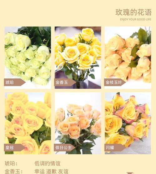 粉玫瑰代表什么？它的花语暗示了哪些情感？