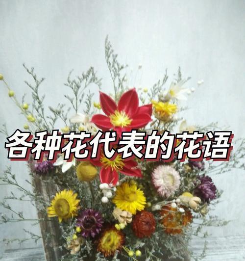 哪种花代表了诚挚的道歉？