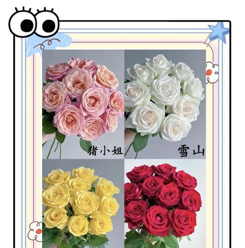 哪种花的花语是寓意新鲜？