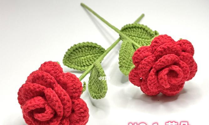 黄花菜都有什么寓意和花语？55朵玫瑰花是代表什么？