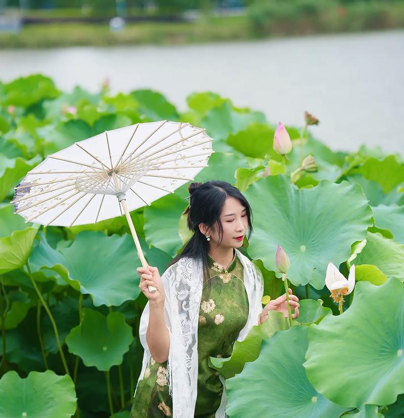 荷花的花语在文化中扮演了什么角色？