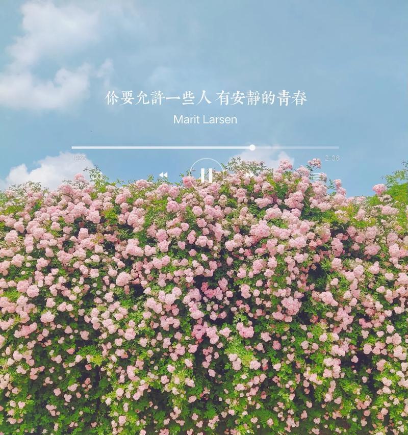 哪种花的花语带有挑衅意味？它的含义是什么？