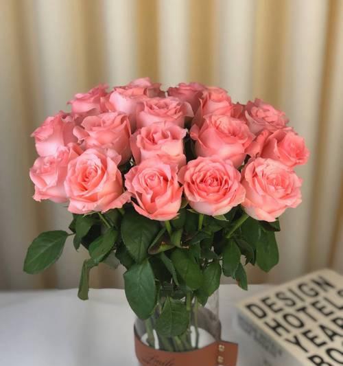 苦味玫瑰的花语和寓意是什么？苦味玫瑰传递了哪些情感？