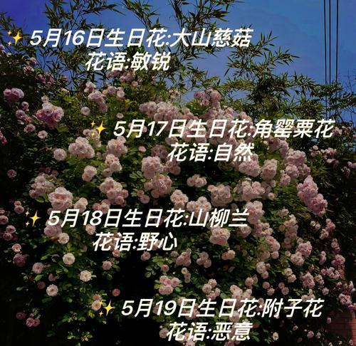 生日测花语的含义是什么？